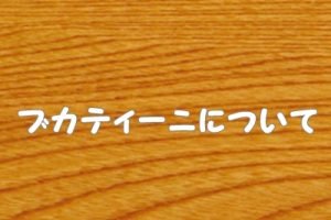 ブカティーニ（パスタ）特徴