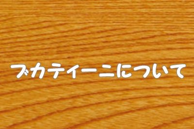 ブカティーニ（パスタ）特徴