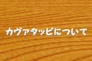 カヴァタッピ（パスタ）とは