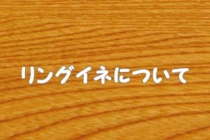 リングイネ（パスタ）について