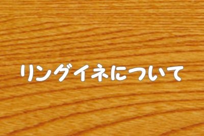 リングイネ（パスタ）について