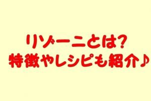 リゾーニとは